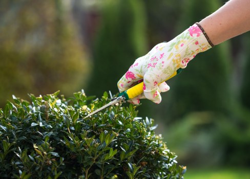Team member preparing lawn mower in a suburban garden