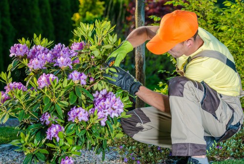 Sudbury Lawn Mowing Services planning future sustainable projects