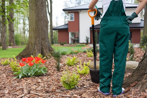 Electric low-emission van used for lawn care services in Sudbury