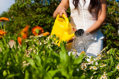The image depicts a woman in a garden, tending to the outdoor space on a bright, sunny day. She is wearing a white sleeveless top and is holding a yellow watering can, which she is using to water the various plants and flowers in the garden. In the foreground, there are lush green leaves and a variety of flowering plants with orange, white, and yellow blooms, creating vibrant colour contrasts. The garden features a well-maintained lawn with evenly cut, dense grass that occupies the central area, bordered by garden beds containing a mixture of shrubs, flowering plants, and small bushes. Behind the woman, there are taller trees providing shade, along with a hedge that acts as a natural boundary. The environment appears tidy and cultivated, suggesting regular garden maintenance, possibly involving services from Lawn Mowing Sudbury. The scene is illuminated by natural daylight, highlighting the lush green foliage and bright flower colours, indicating clear weather conditions suitable for outdoor gardening activities.